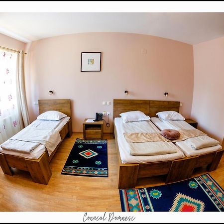Conacul Domnesc Hotel Scheia Exterior foto