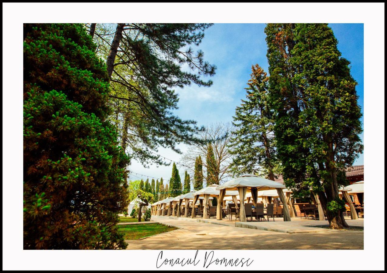 Conacul Domnesc Hotel Scheia Exterior foto