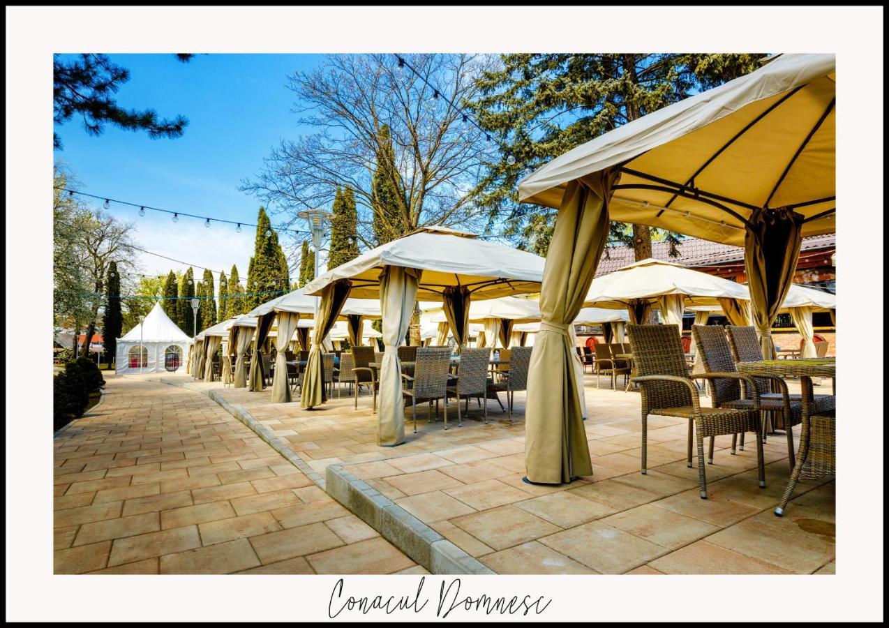 Conacul Domnesc Hotel Scheia Exterior foto