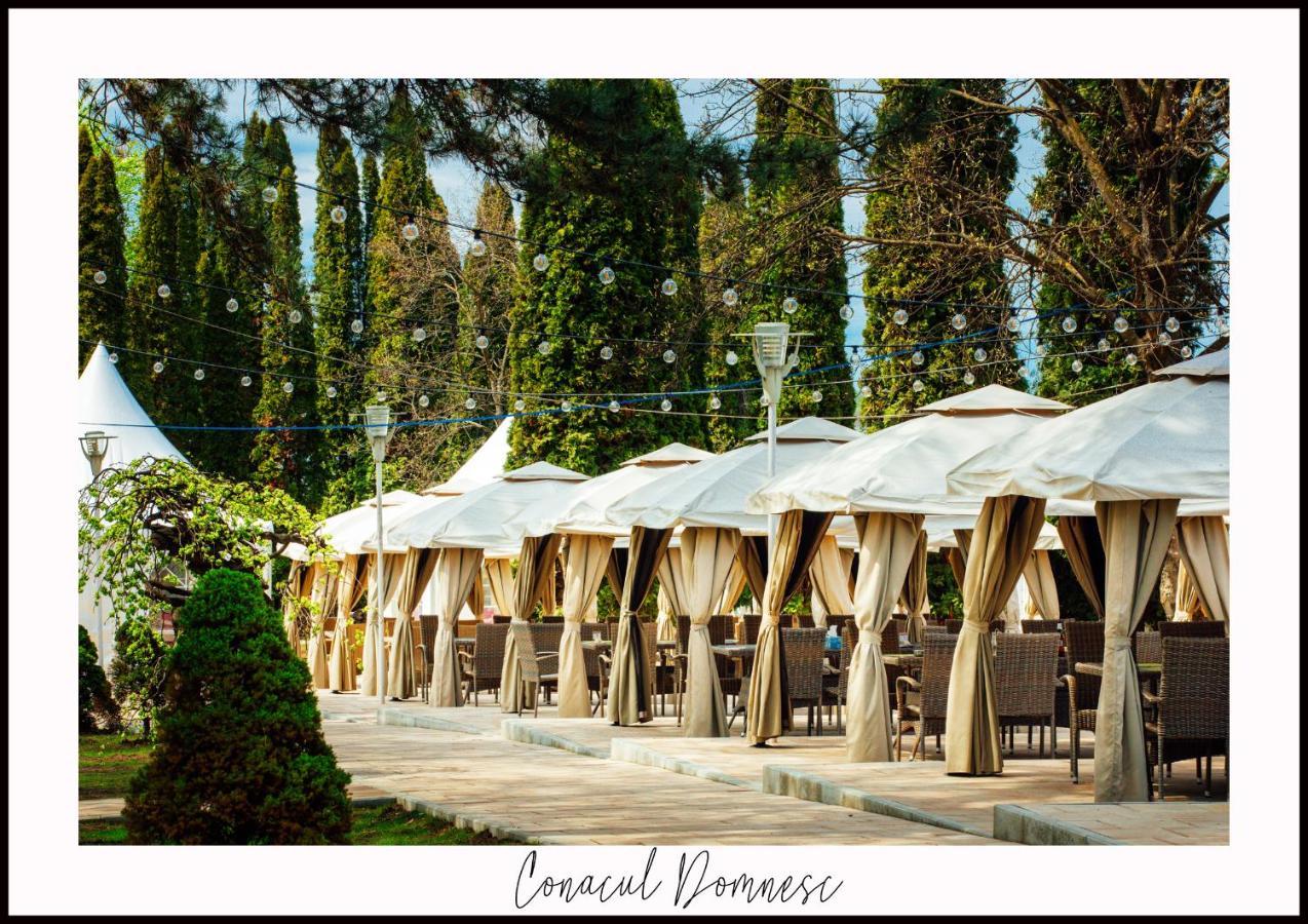 Conacul Domnesc Hotel Scheia Exterior foto